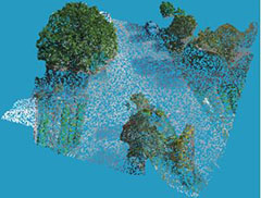 Color Point Cloud