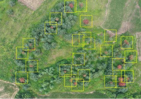 As a high-resolution satellite data agent, Feiyan Remote Sensing can provide 0.5m resolution satellite images, sub-meter ordinary optical images, and multi-spectral images, etc. 