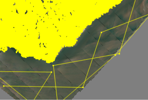 DEM editing is an indispensable part of producing orthophotos(DOM).