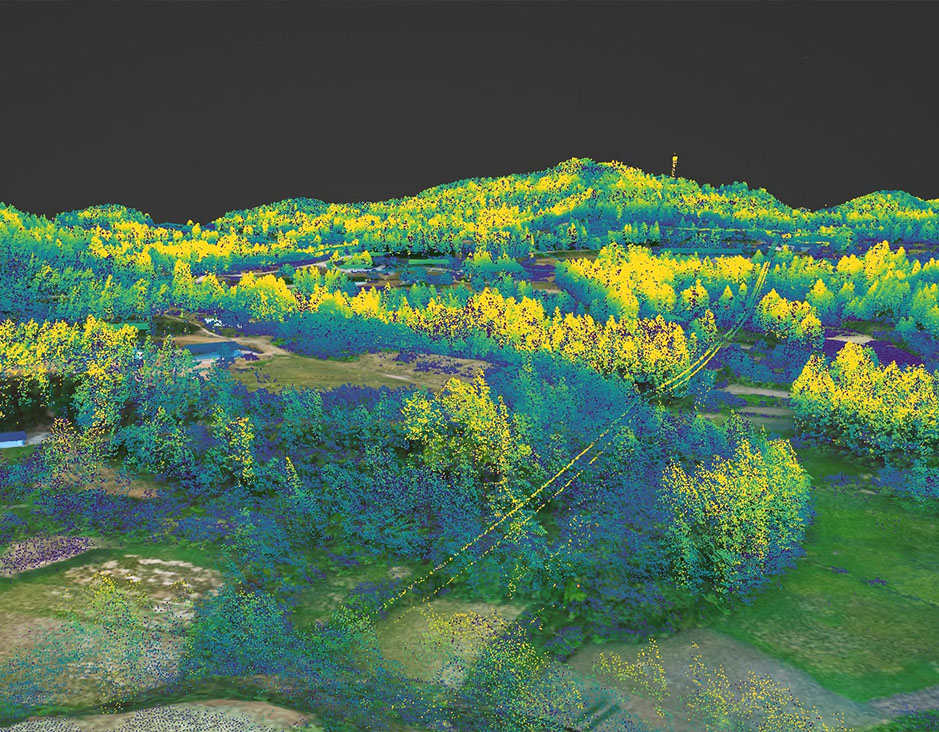 Feiyan GIS for forest  and vegetation mapping and wildfire management products and services generates critical data for effective management decisions affecting forest resources. If you are looking for resources, please feel free to ask us for more information.