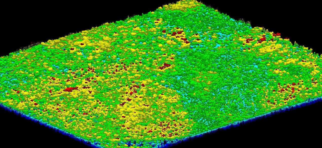 We achieve high-accuracy species identification by combining very high-resolution imagery from satellites and our Farsight™ UAV System. Our Swift4D platform employs advanced machine learning algorithms to analyze spectral and textural signatures, creating detailed species distribution maps for biodiversity conservation, invasive species management, and precision silviculture.