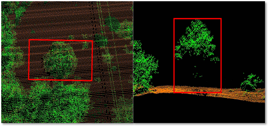 We provide detailed 3D forest structure analysis using LiDAR data from our AIMS Multi-Modal Aerial Survey System and Farsight™ UAV System, calculating key metrics like Canopy Bulk Density (CBD) and Canopy Base Height (CBH) for fire behavior modeling. This enables precise above-ground biomass and carbon stock estimation, delivering essential data for sustainable forest inventory, health assessment, and growth trend monitoring.
