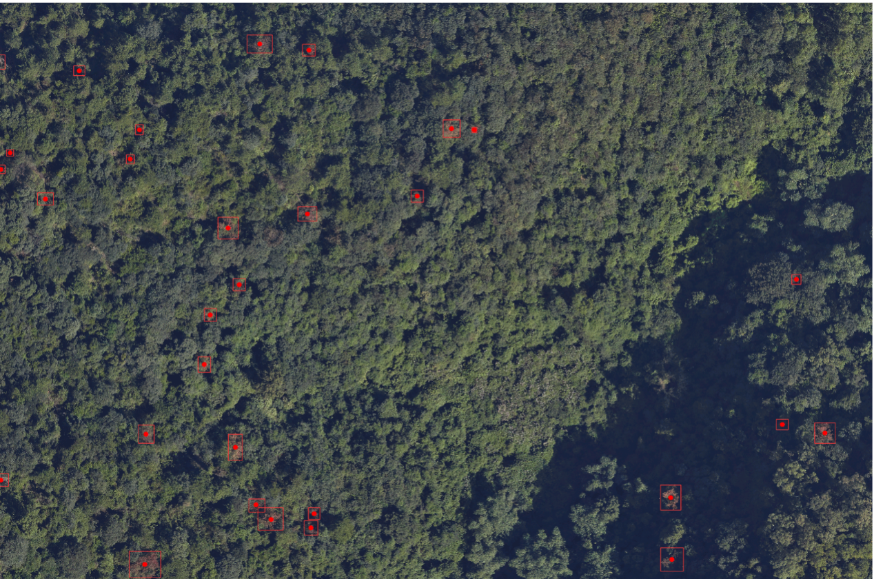 We enable early detection of forest degradation by deploying the Farsight™ UAV System for regular, high-resolution multispectral surveys. Data is analyzed on our Swift4D platform to identify subtle changes in vegetation indices, providing timely alerts for pest outbreaks, drought stress, and nutrient deficiencies. This supports proactive intervention, loss mitigation, and long-term ecosystem resilience management.